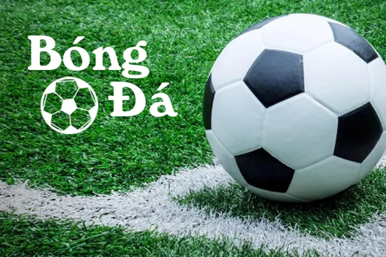 Phân Tích Chi Tiết Luật Bóng Trong Cuộc Và Bóng Ngoài Cuộc
