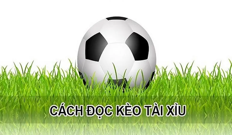 Kèo Tài Xỉu Bí Quyết Đọc Vị Tổng Số Bàn Thắng Trong Bóng Đá