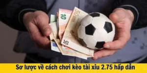 Tìm Hiểu Kèo 2.75 Và Cách Tính Thắng Thua Trong Bóng Đá Quốc Tế