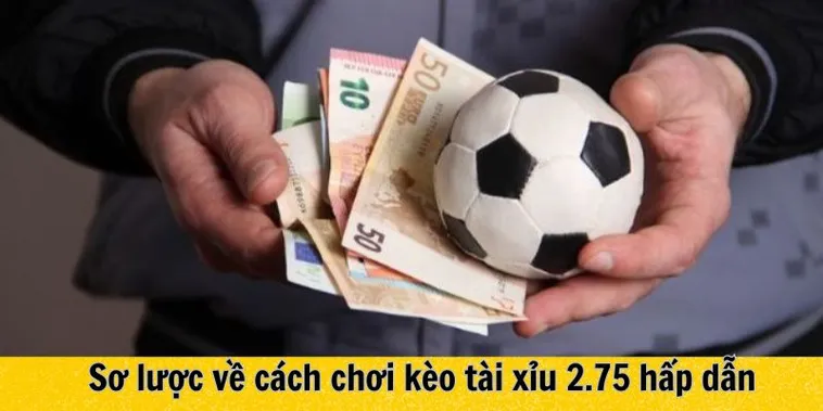 Tìm Hiểu Kèo 2.75 Và Cách Tính Thắng Thua Trong Bóng Đá Quốc Tế