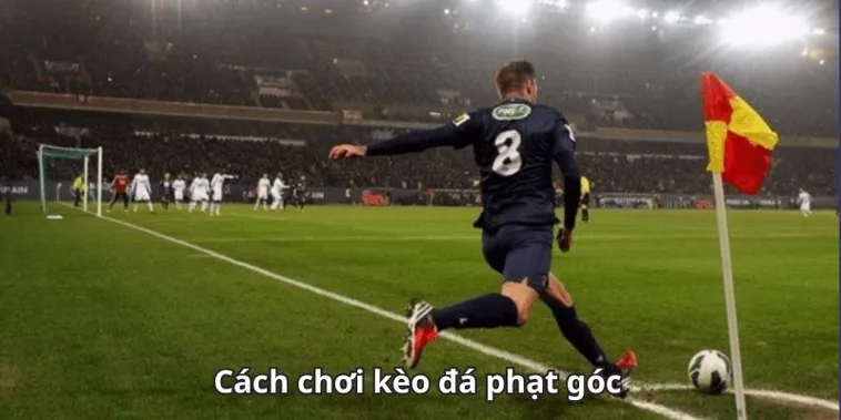 Hướng Dẫn Cách Chơi Kèo Phạt Góc Bóng Đá Mang Lại Hiệu Quả Cao
