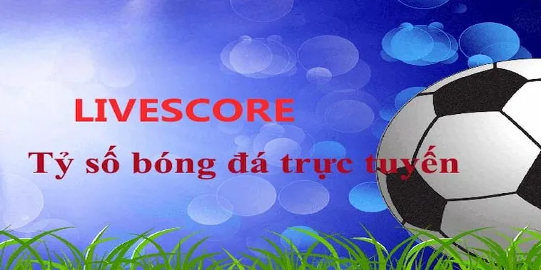 Cập Nhật Tỷ Số Bóng Đá Trực Tuyến Nhanh Chóng Và Chính Xác Nhất